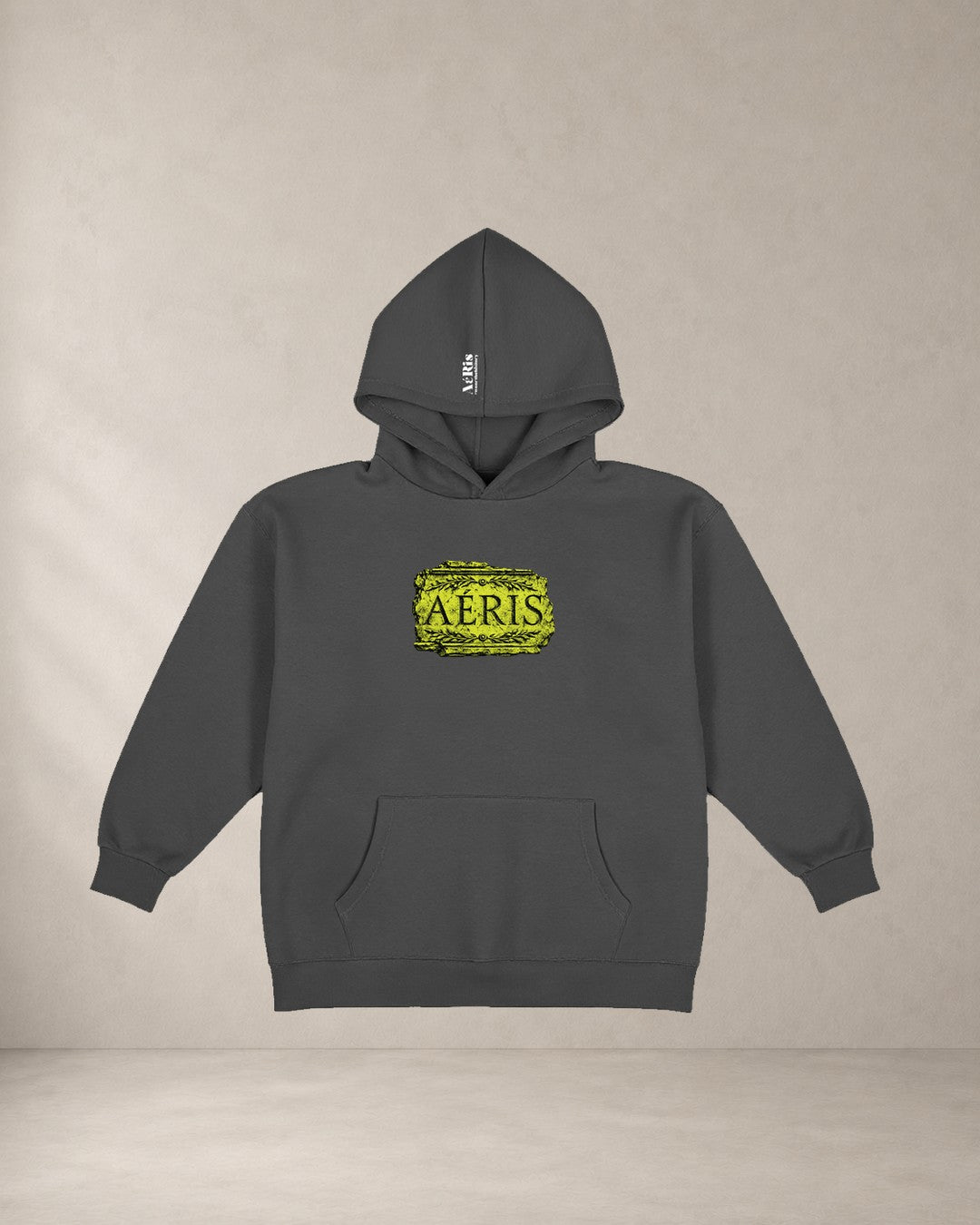 HOODIE KARYATIDA, oversized hoodie AέRis σε ανθρακί
